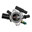 SAMAXX CTM-FT-002 - Thermostat d'eau
