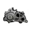 TEKNÖR CPW-VW-053 - Pompe à eau