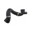TEKNÖR CPP-BM-079 - Durite de radiateur