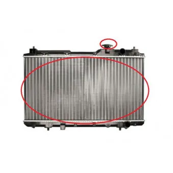 Radiateur, refroidissement du moteur THERMOTEC OEM 53506