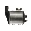 THERMOTEC DA05008TT - Intercooler, échangeur