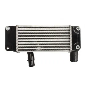 Intercooler, échangeur THERMOTEC OEM 179000N020