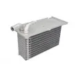 THERMOTEC DAA021TT - Intercooler, échangeur