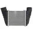 THERMOTEC DAA023TT - Intercooler, échangeur