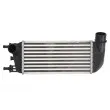 THERMOTEC DAF010TT - Intercooler, échangeur