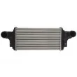 THERMOTEC DAM028TT - Intercooler, échangeur