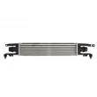 THERMOTEC DAX028TT - Intercooler, échangeur