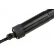 TEKNÖR AE-VW-098 - Moteur électrique, hayon arrière 