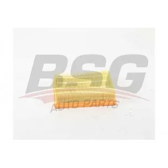 BSG BSG 15-135-018 - Filtre à air