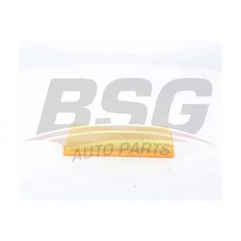 Filtre à air BSG BSG 15-135-022 pour PEUGEOT 207 1.6 16V Turbo - 156cv