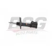 BSG BSG 25-300-001 - Amortisseur avant gauche