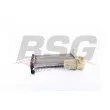 BSG BSG 25-520-008 - Radiateur, refroidissement du moteur