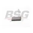 BSG BSG 25-530-001 - Système de chauffage