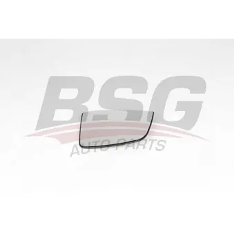 BSG BSG 25-910-006 - Verre de rétroviseur, rétroviseur extérieur