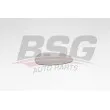 BSG BSG 25-910-009 - Verre de rétroviseur, rétroviseur extérieur
