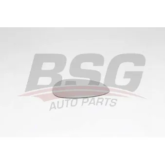 BSG BSG 25-910-009 - Verre de rétroviseur, rétroviseur extérieur