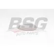BSG BSG 25-910-012 - Verre de rétroviseur, rétroviseur extérieur