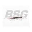 BSG BSG 25-910-015 - Verre de rétroviseur, rétroviseur extérieur