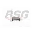 BSG BSG 30-530-005 - Système de chauffage