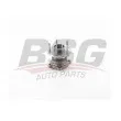 BSG BSG 30-605-029 - Roulement de roue arrière