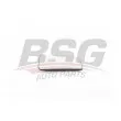 BSG BSG 30-910-047 - Verre de rétroviseur, rétroviseur extérieur