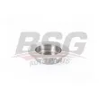 BSG BSG 35-210-009 - Jeu de 2 disques de frein arrière