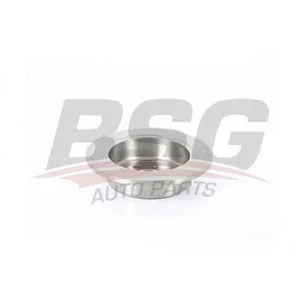 BSG BSG 35-210-009 - Jeu de 2 disques de frein arrière