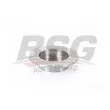 BSG BSG 35-210-010 - Jeu de 2 disques de frein arrière