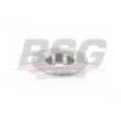 BSG BSG 35-210-014 - Jeu de 2 disques de frein arrière