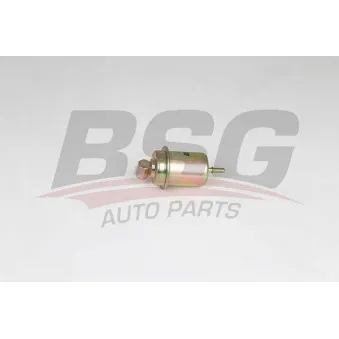 BSG BSG 40-130-017 - Filtre à carburant