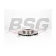 BSG BSG 40-210-044 - Jeu de 2 disques de frein avant