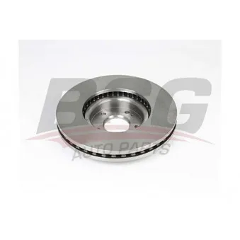 Jeu de 2 disques de frein avant BSG OEM 517122P700