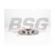 BSG BSG 40-210-046 - Jeu de 2 disques de frein arrière