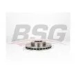 BSG BSG 40-210-047 - Jeu de 2 disques de frein avant