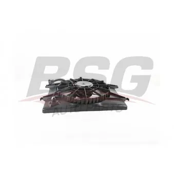 BSG BSG 40-510-021 - Ventilateur, refroidissement du moteur