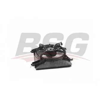 BSG BSG 40-510-025 - Ventilateur, refroidissement du moteur