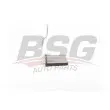 Système de chauffage BSG [BSG 40-530-017]