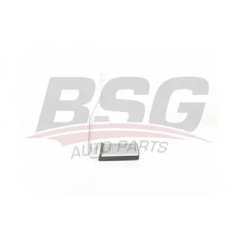 Système de chauffage BSG BSG 40-530-019