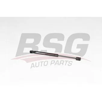 Vérin de hayon, de coffre BSG BSG 40-980-060