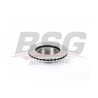BSG BSG 55-210-001 - Jeu de 2 disques de frein avant