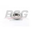 BSG BSG 55-210-006 - Jeu de 2 disques de frein arrière
