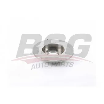 BSG BSG 55-210-006 - Jeu de 2 disques de frein arrière