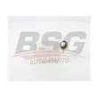 BSG BSG 60-550-006 - Vase d'expansion, liquide de refroidissement