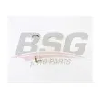BSG BSG 60-550-011 - Vase d'expansion, liquide de refroidissement