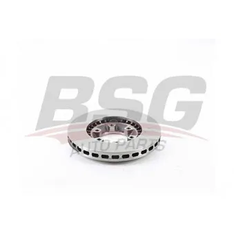 BSG BSG 62-210-008 - Jeu de 2 disques de frein avant
