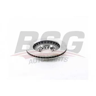 Jeu de 2 disques de frein avant BSG OEM MB699716