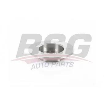BSG BSG 63-210-014 - Jeu de 2 disques de frein arrière