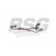 Tuyauterie de carburant BSG [BSG 70-725-020]