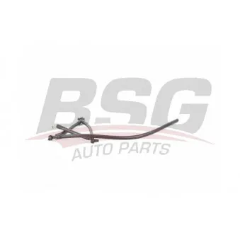 Tuyau, carburant de fuite BSG OEM 1574q1