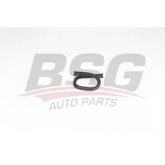 Tuyauterie de carburant BSG BSG 70-725-029